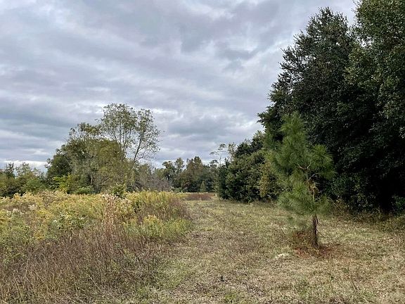 5th image of 4521 Hardaway Hwy