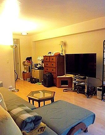 3rd image of 225 E 46th St APT 4L