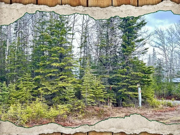 33355 Green Ln, Soldotna, AK 99669