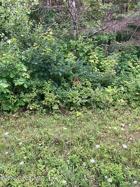 5th image of L9.5 County Road 110