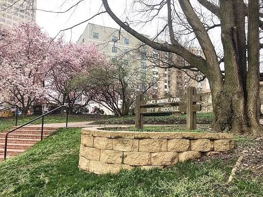 Adjacent Park for dog walking and relaxing.