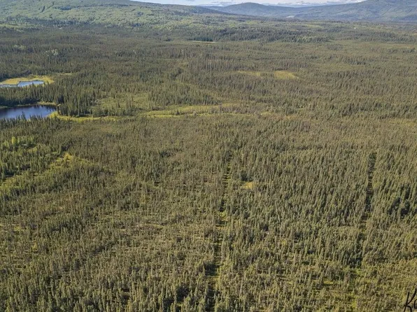 Nhn Everett Way, Ester, AK 99709