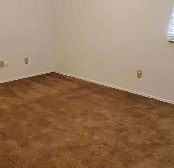 8100 Mount Snow Dr — Photo 12