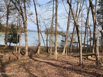 39 E Shore Rd, Rockwood, TN, 37854