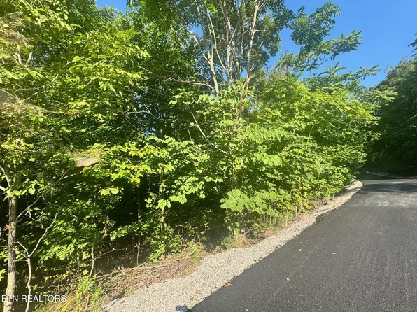 617 N North Pointe Trl Lot 86, Allons, TN 38541