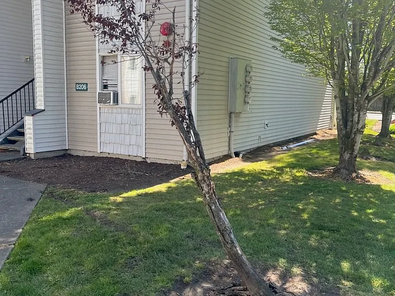 Glenbrooke Apartments — Photo 8