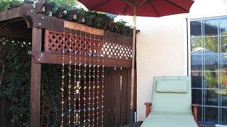 Pergola Night Blooming Jasmine