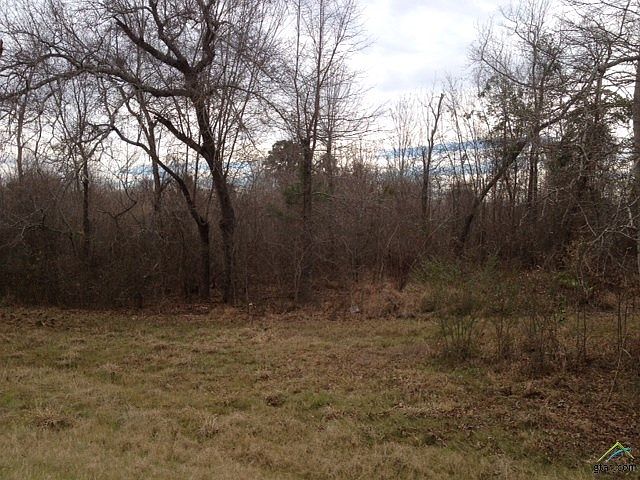 2nd image of 17377 State Highway 64 W