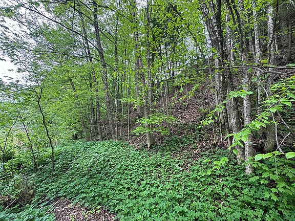 5th image of 48 Northfield Street Lot 1