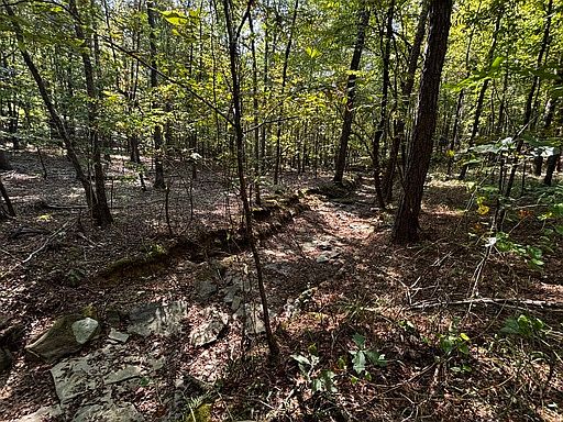 3rd image of 0 Old Stagecoach Rd