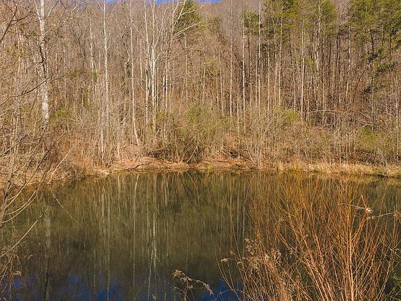 4th image of 1535-10 Acre Rock Ct
