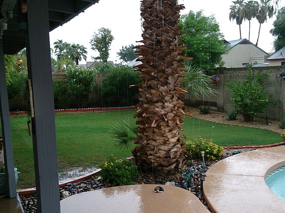 4th image of 1427 E Dava Dr