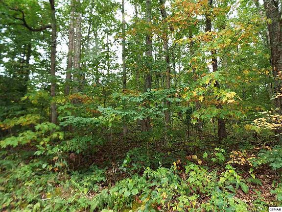 4th image of 24 Trail Way Lot 24