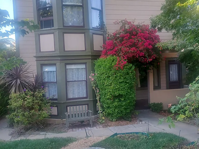 Front Yard