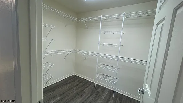 5942 Atlantis Dream Ave — Photo 15