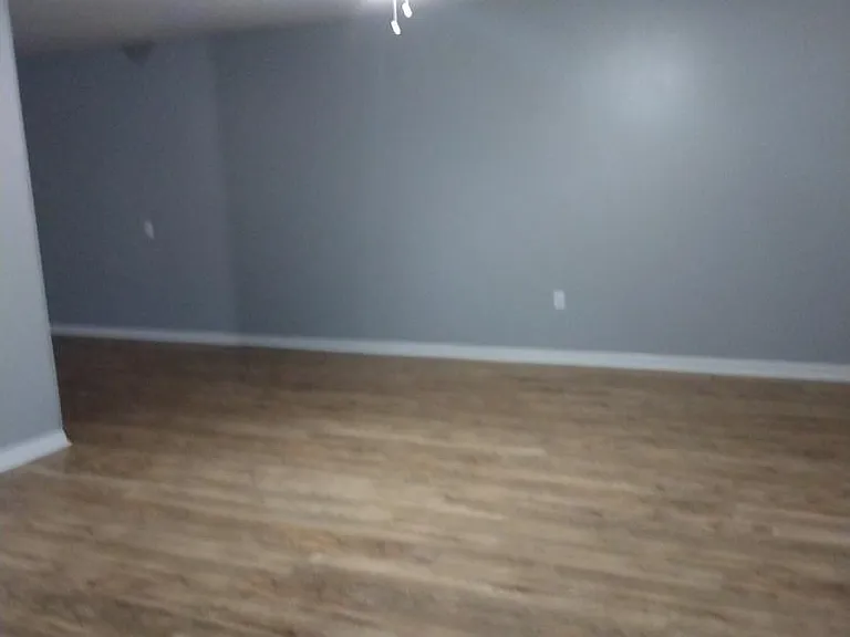 250 Carraway Dr — Photo 14