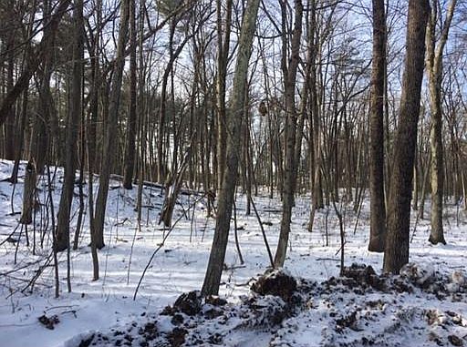 2nd image of 0 Downs Rd
