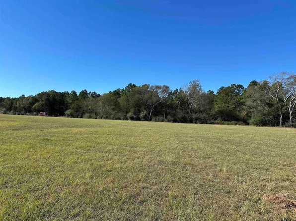 13B/ Old Spanish Trial Dr, Alto, TX 75925