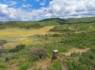 36681 Road M.5 Bugle Basin, Cahone, CO 81320