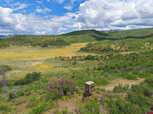 36681 Road M.5 Bugle Basin, Cahone, CO 81320