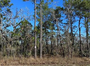 0 Seattle Wren Ave #3, Brooksville, FL 34614
