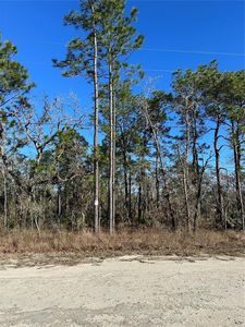0 Seattle Wren Ave #3, Brooksville, FL, 34614