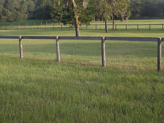  View of Back pasture
