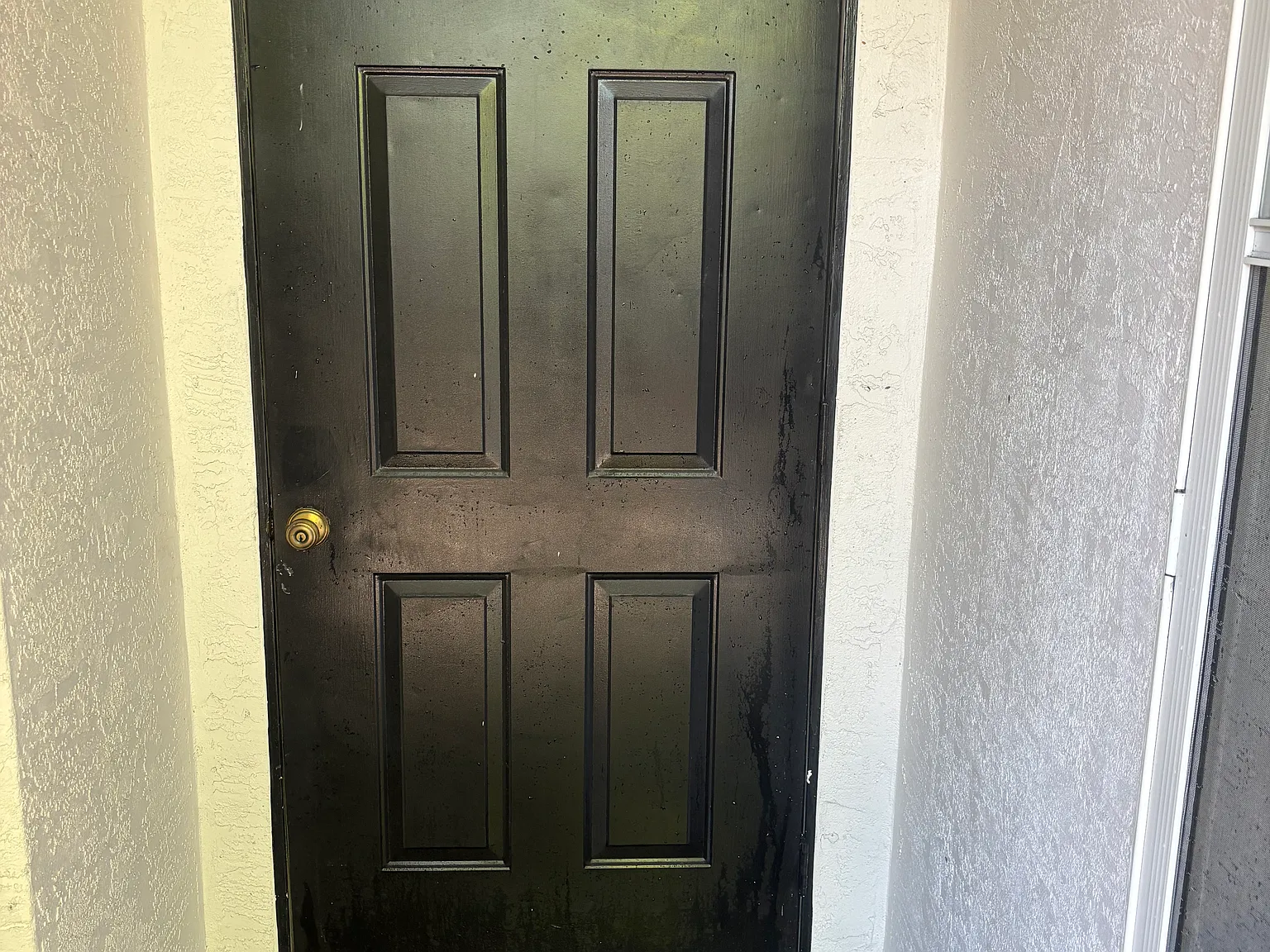 1 bed, 250 sqft, $1,395 — Photo 3