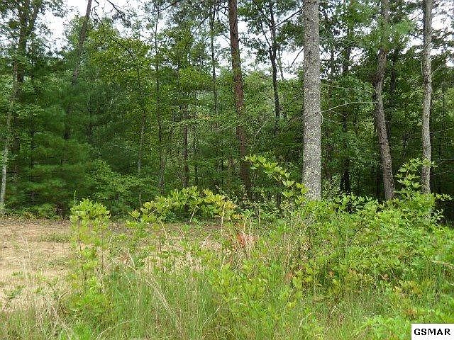 1st image of 376 Summer House Hollow Rd Lot Del