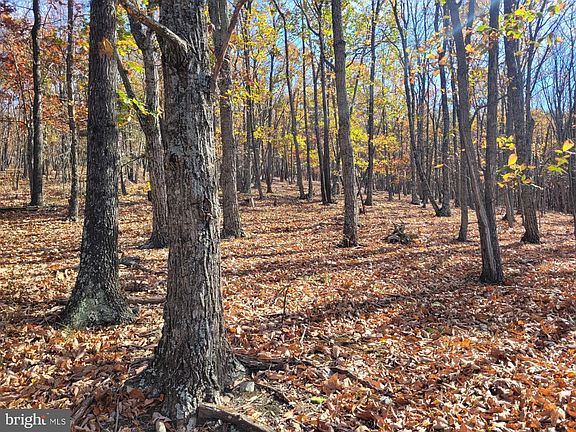 5th image of Little Cacapon Mountain Road Whippoorwill Song Ln