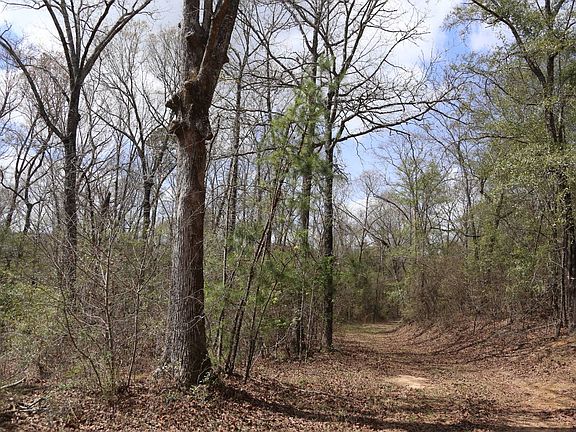 4th image of 85 County Rd