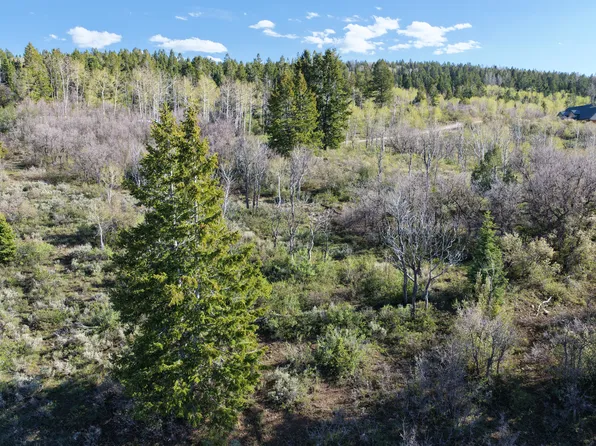 17104 S Alta Dr E, Spanish Fork, UT 84660