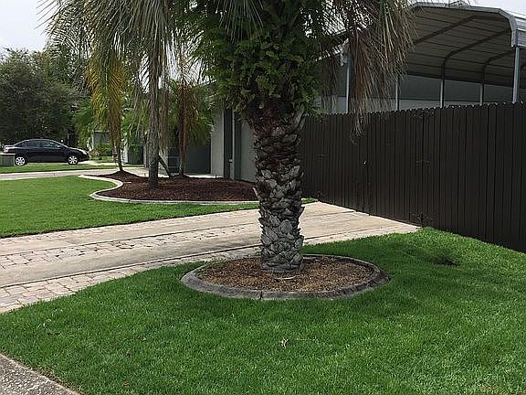 4th image of 763 Spicewood Dr