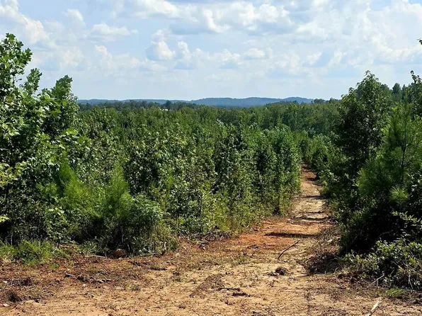 TRACT 7 County Road 256, Wedowee, AL 36278