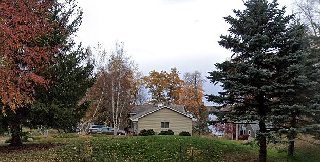 1st image of 13000 182nd St N