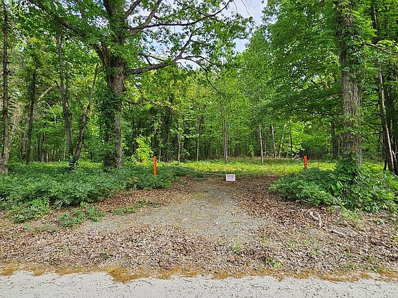 2nd image of 664 Pond Rd