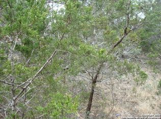 2430 Western Skies Dr, Spring Branch, TX 78070