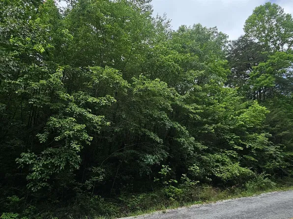 3/ACRE S County Road 106, Mentone, AL 35984