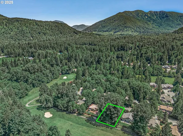 24855 E Bright Ave, Welches, OR 97067