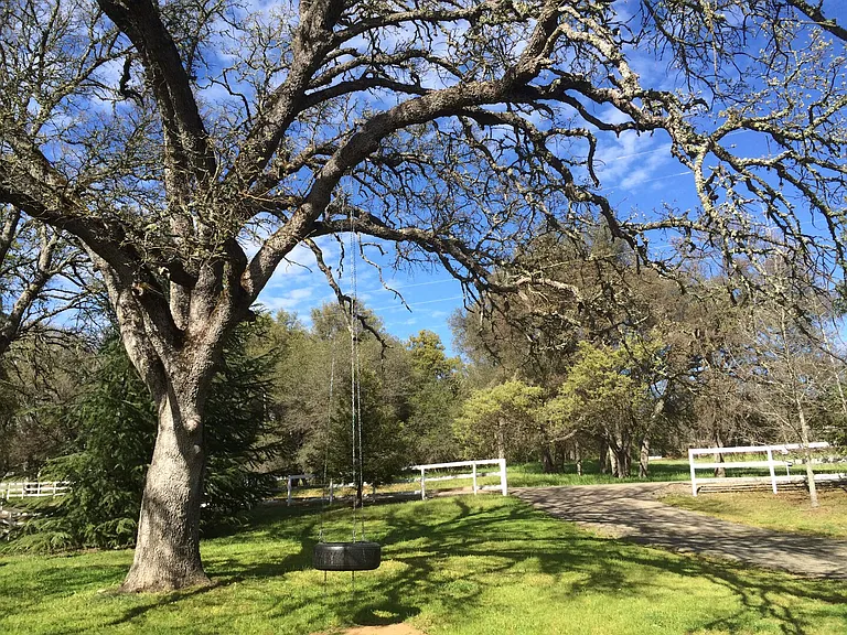 Strolling Hills Rd — Photo 8