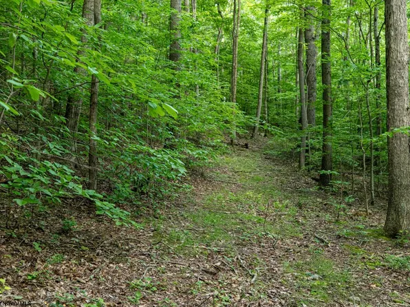 1 Sycamore Fork Rd, Wallace, WV 26448