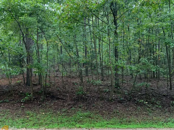 0 Bankston Rd, Meansville, GA 30256