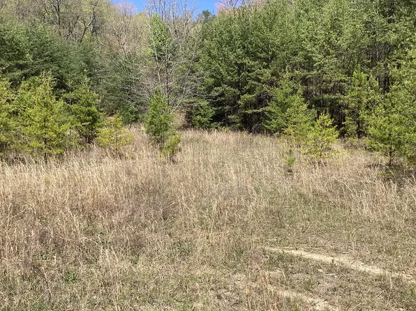 PARCEL 8.0 Highway 25 E, Bean Station, TN 37708