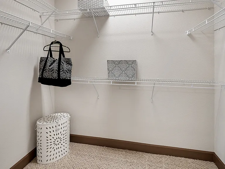 Topaz Model Walk-in Closet 2