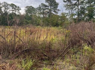 100 Byrd Yancey Bass Rd, Clinton, NC 28328