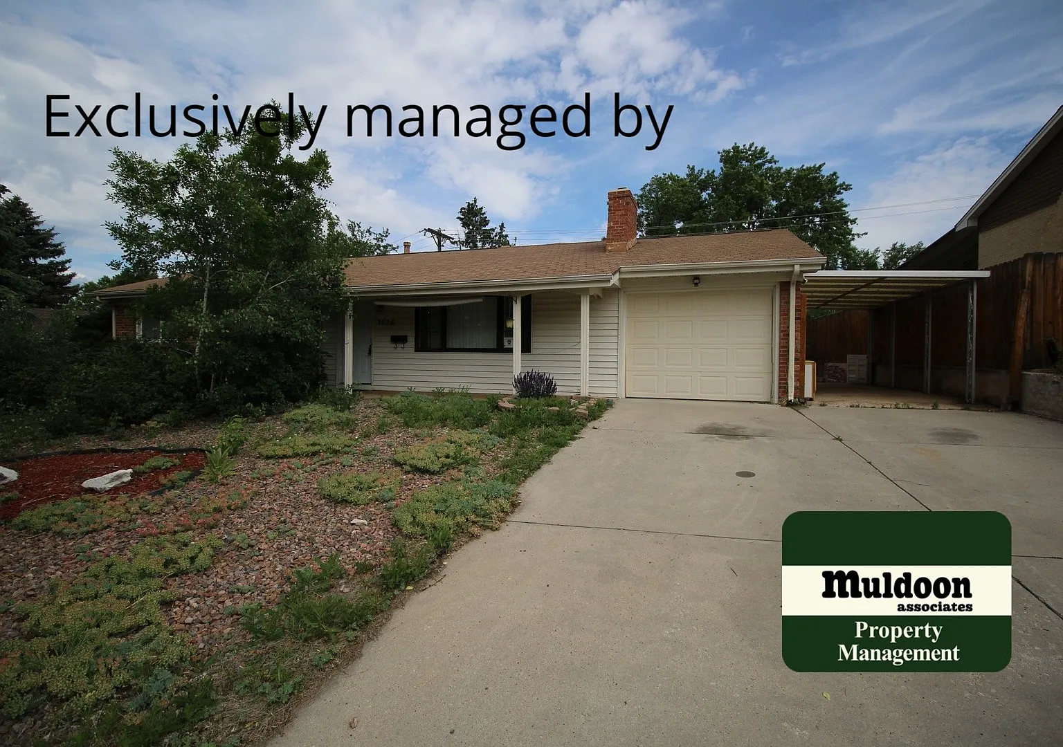 Available soon! Large Three Bedroom Home-East Colorado! — Photo 1