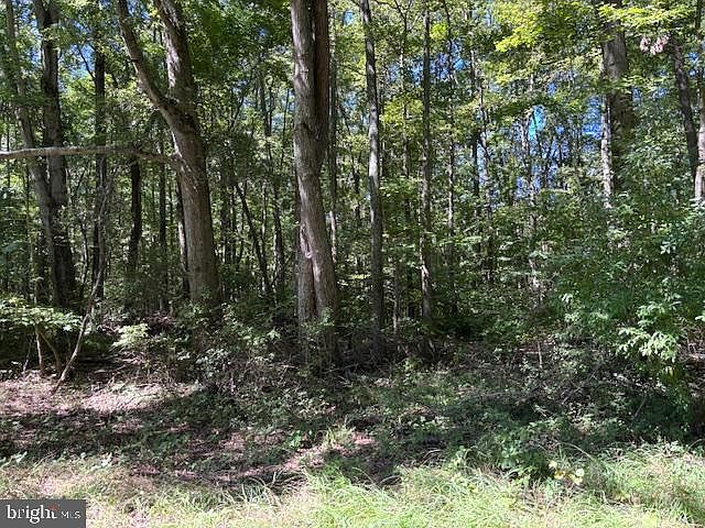 2nd image of 386/ACRE S Wheatleys Pond Rd