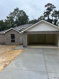 10177 Sunshine Rd, Denham Springs, LA, 70706