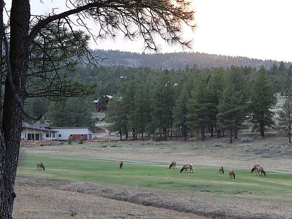 Golf course behind house