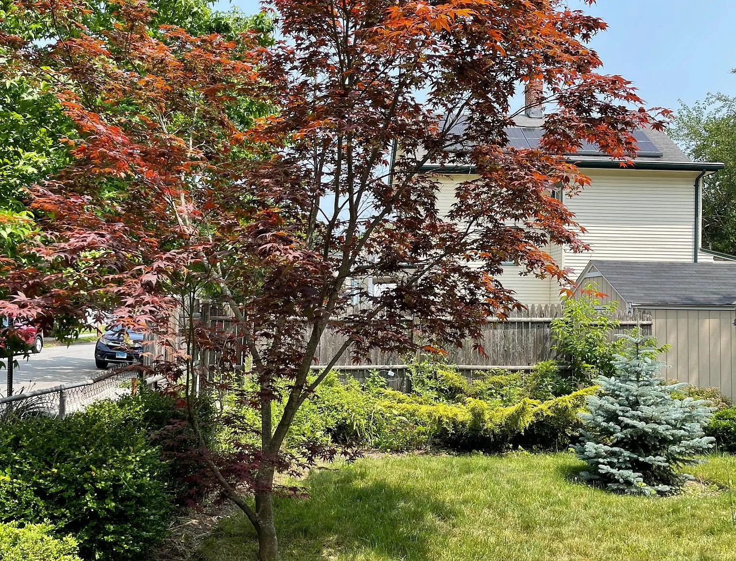 2 bed, 870 sqft, $1,750 — Photo 3